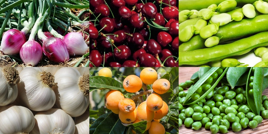 I PRODOTTI FRESCHI DI MAGGIO